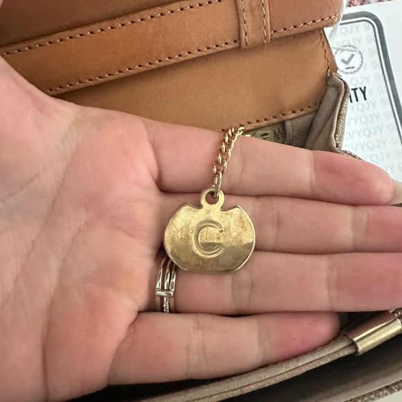 Celine Triomphe Canvas Crossbody Purse - Picture 8 of 9